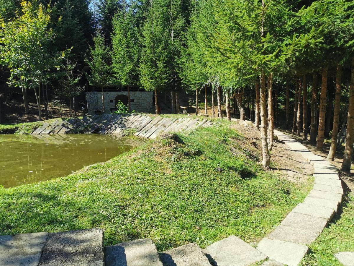 Pensiunea Ionela Zemes Exterior foto