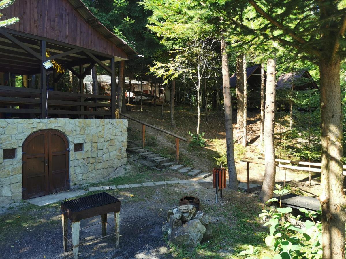 Pensiunea Ionela Zemes Exterior foto