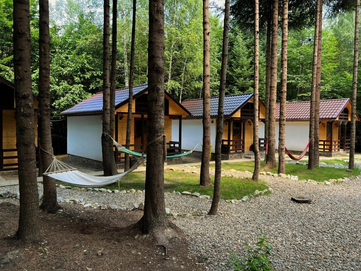Pensiunea Ionela Zemes Exterior foto