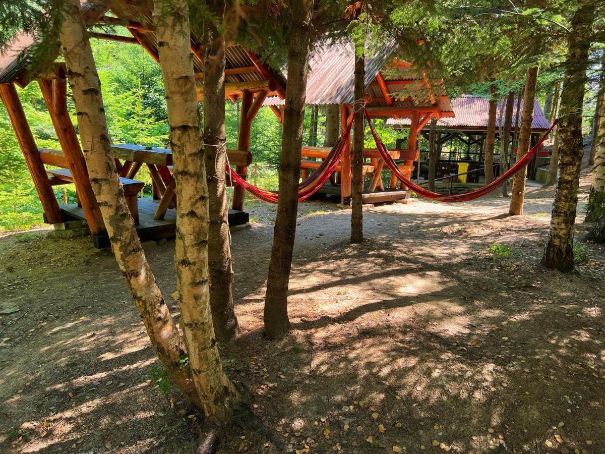 Pensiunea Ionela Zemes Exterior foto